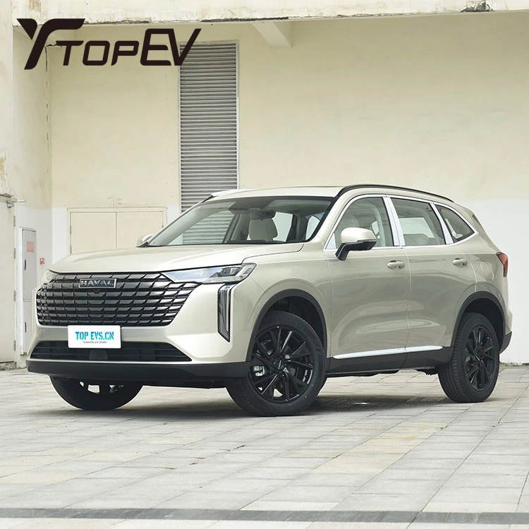 2024 GWM Haval H6 Pro Компактный внедорожник